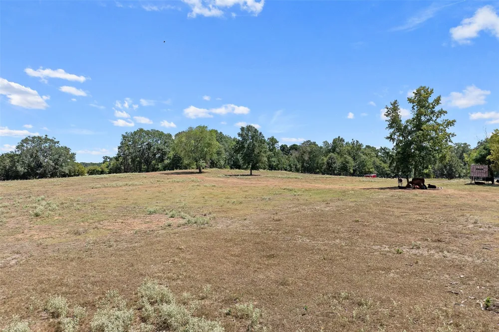 459 County Road 3303 Omaha, TX 75571