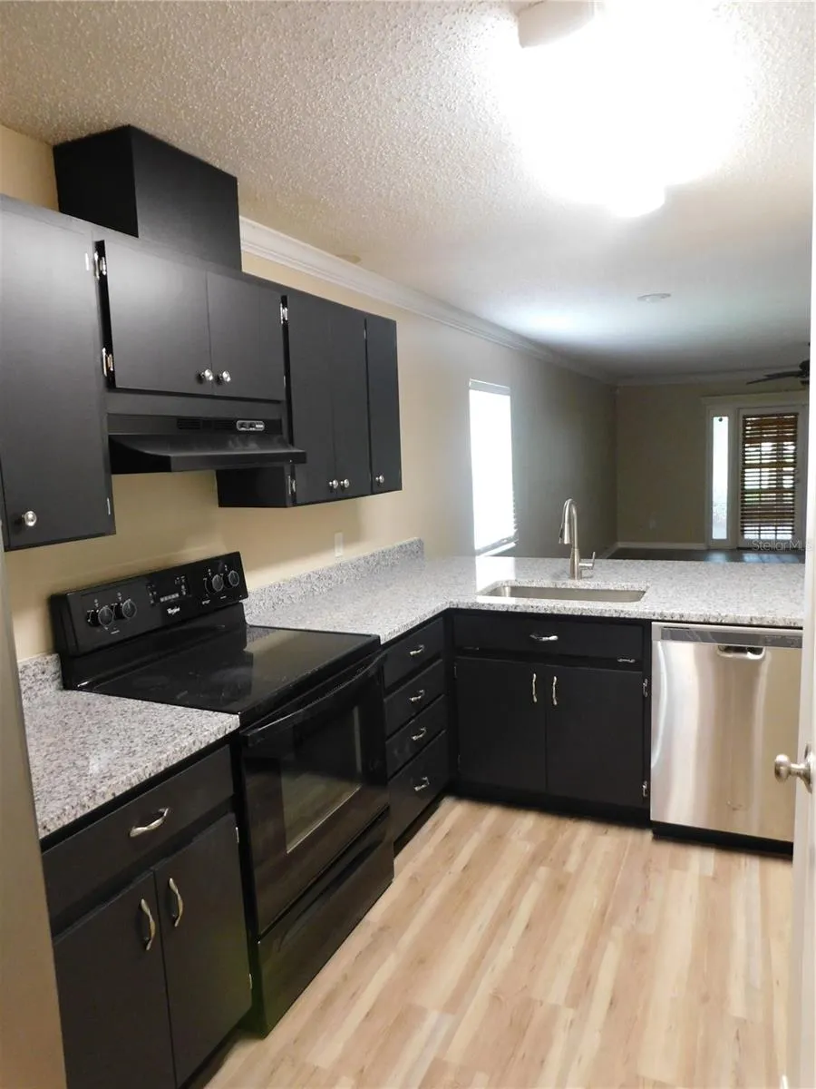 1628 BAKER ROAD Lutz, FL 33559