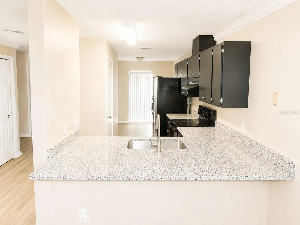 1628 BAKER ROAD Lutz, FL 33559