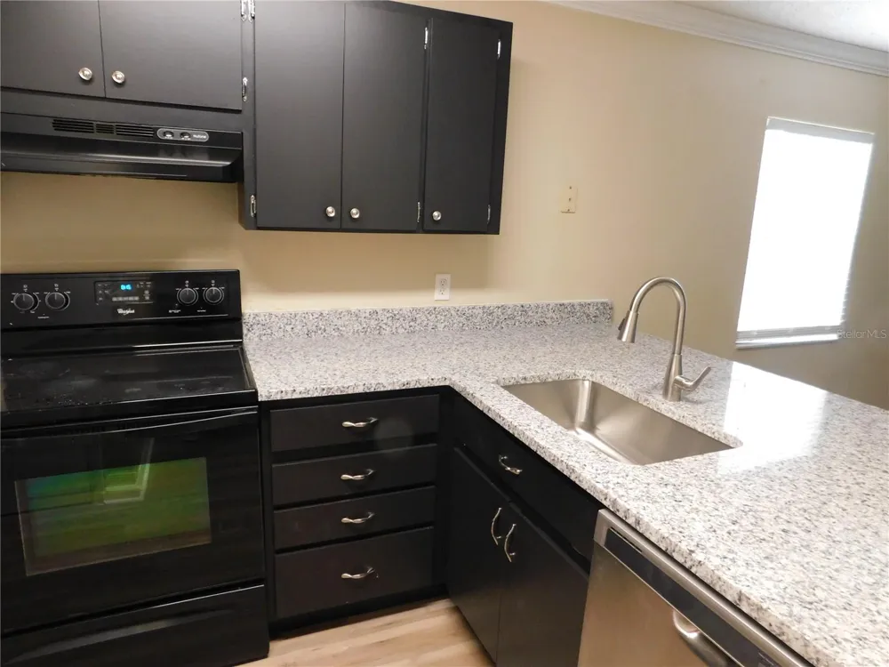 1628 BAKER ROAD Lutz, FL 33559