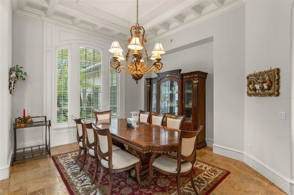 6055 LOUISE COVE DRIVE Windermere, FL 34786