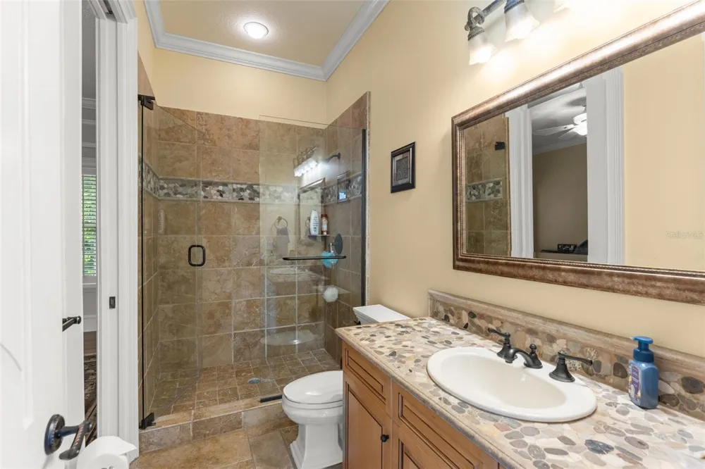 6055 LOUISE COVE DRIVE Windermere, FL 34786