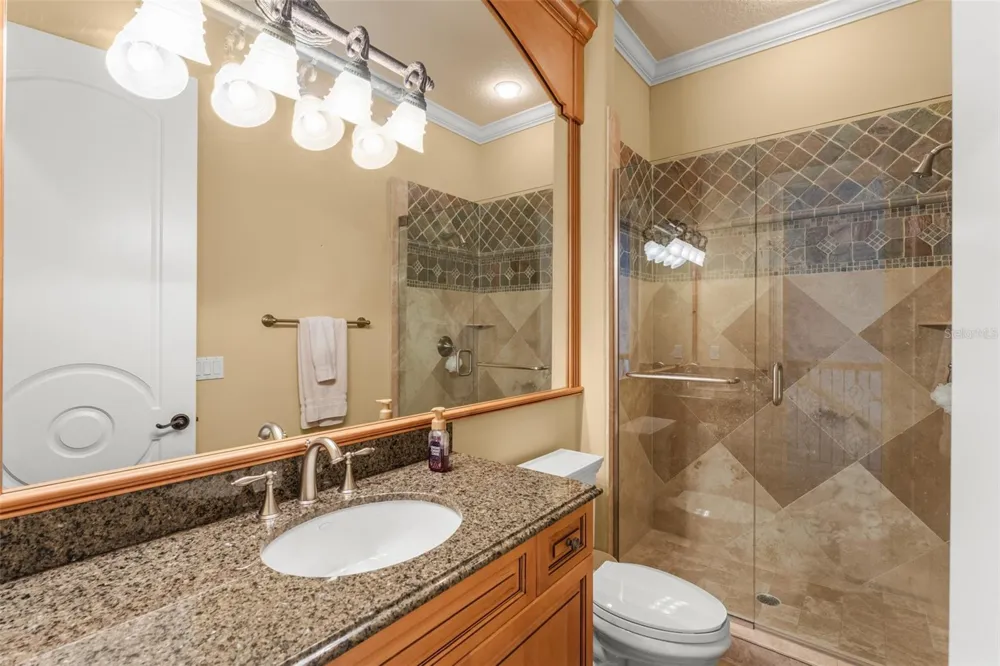 6055 LOUISE COVE DRIVE Windermere, FL 34786