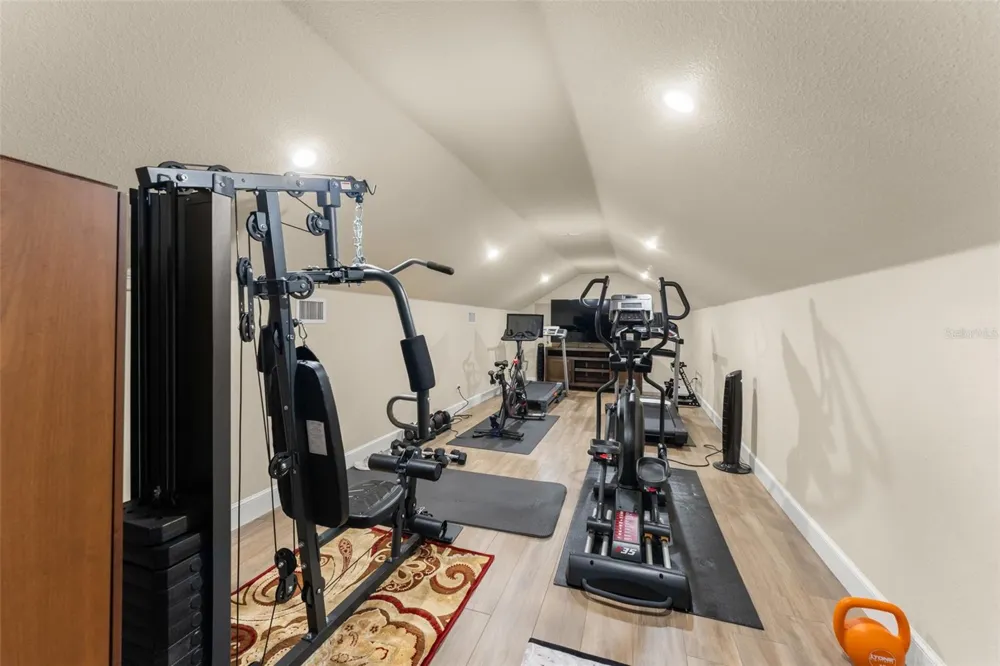 6055 LOUISE COVE DRIVE Windermere, FL 34786