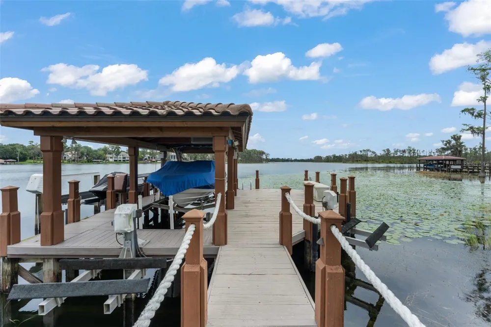 6055 LOUISE COVE DRIVE Windermere, FL 34786