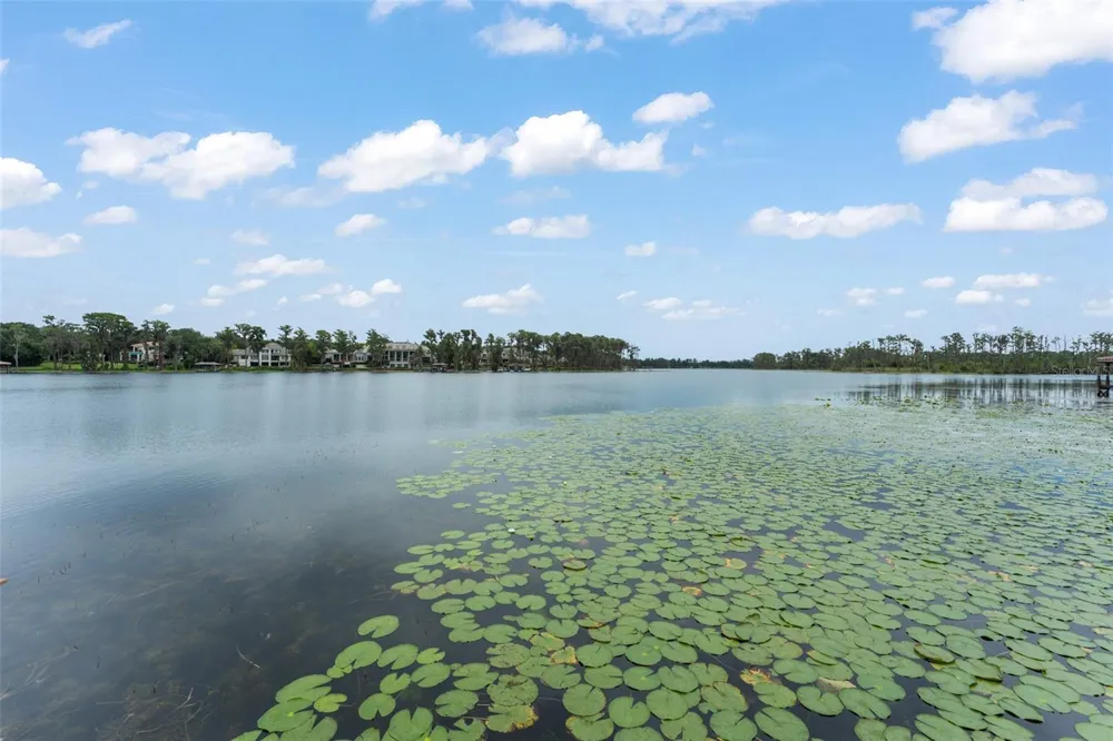 6055 LOUISE COVE DRIVE Windermere, FL 34786