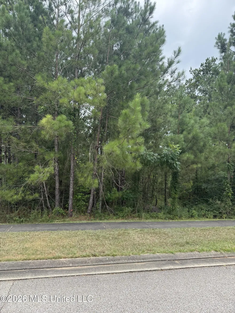 42 S Of Hattiesburg, MS 39402