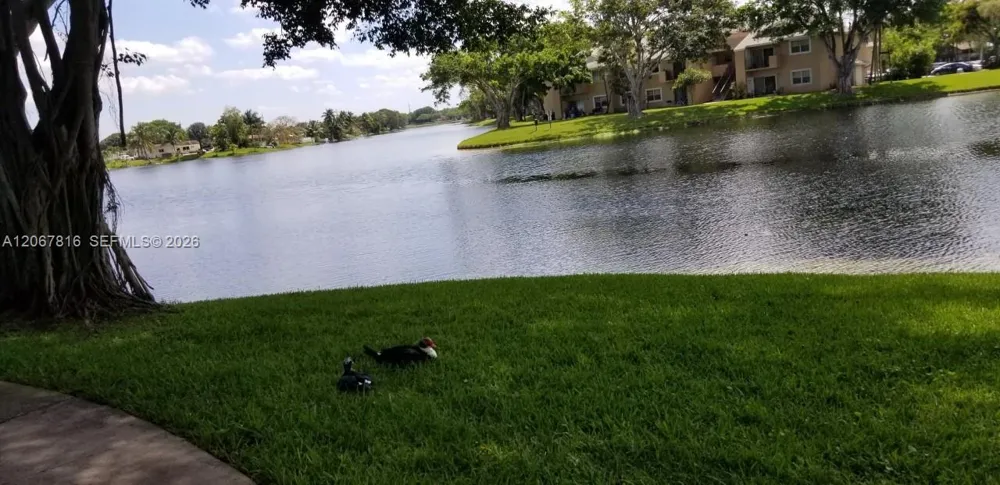 2091 NW 96th Ter #13M Pembroke Pines, FL 33024