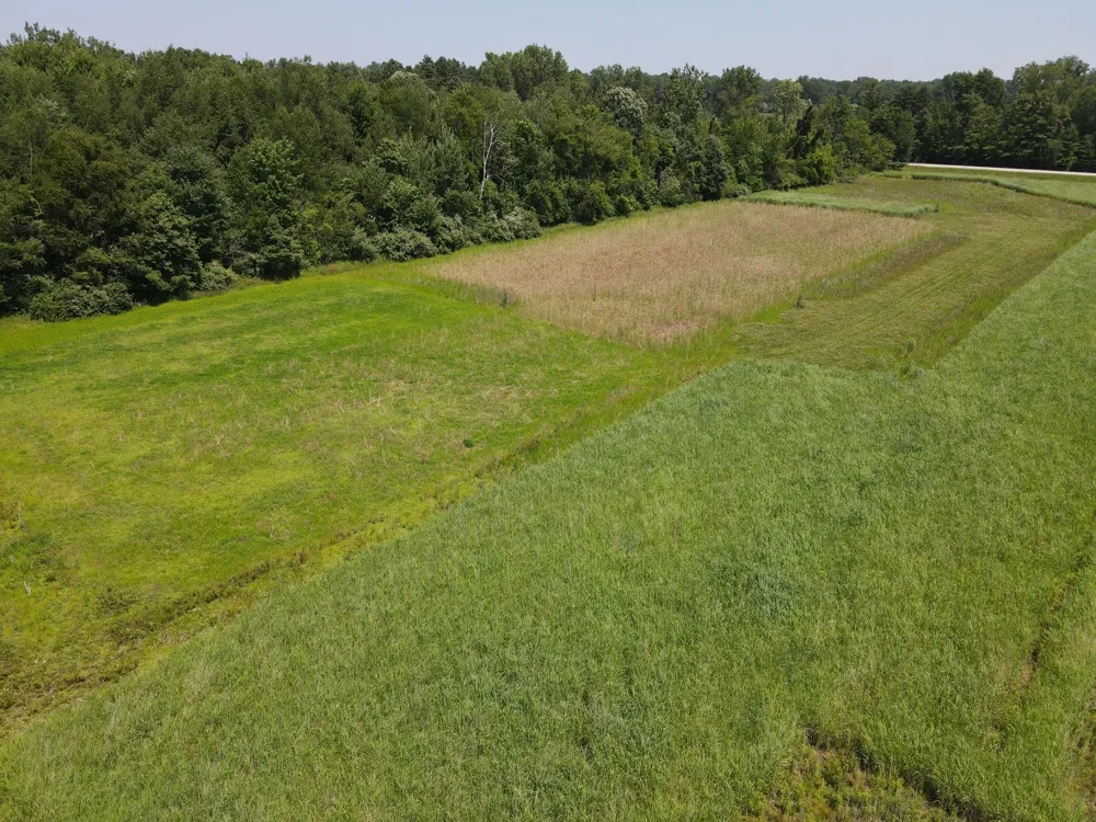 Brown Road Millington, MI 48746