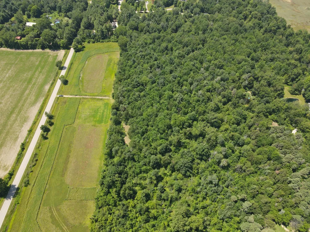 Brown Road Millington, MI 48746