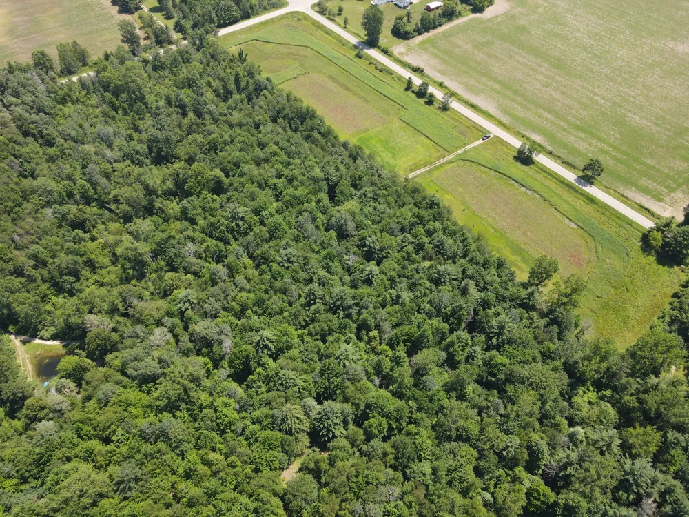 Brown Road Millington, MI 48746