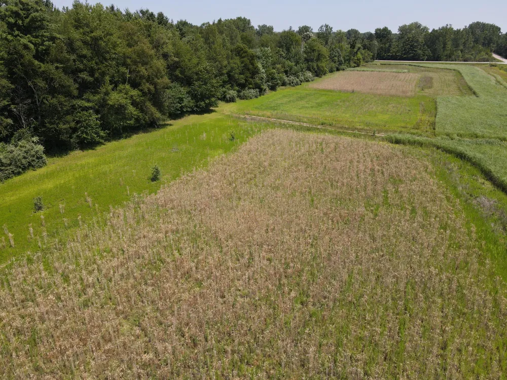 Brown Road Millington, MI 48746