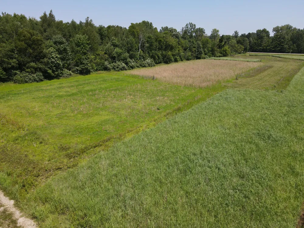 Brown Road Millington, MI 48746