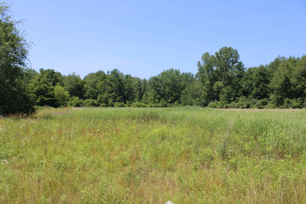 Brown Road Millington, MI 48746