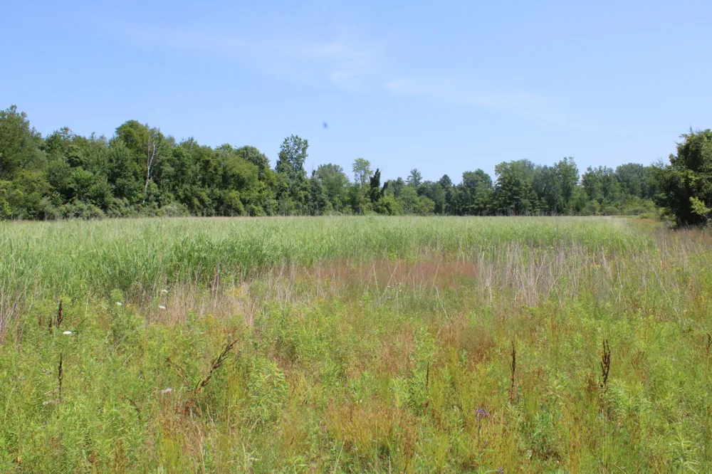 Brown Road Millington, MI 48746