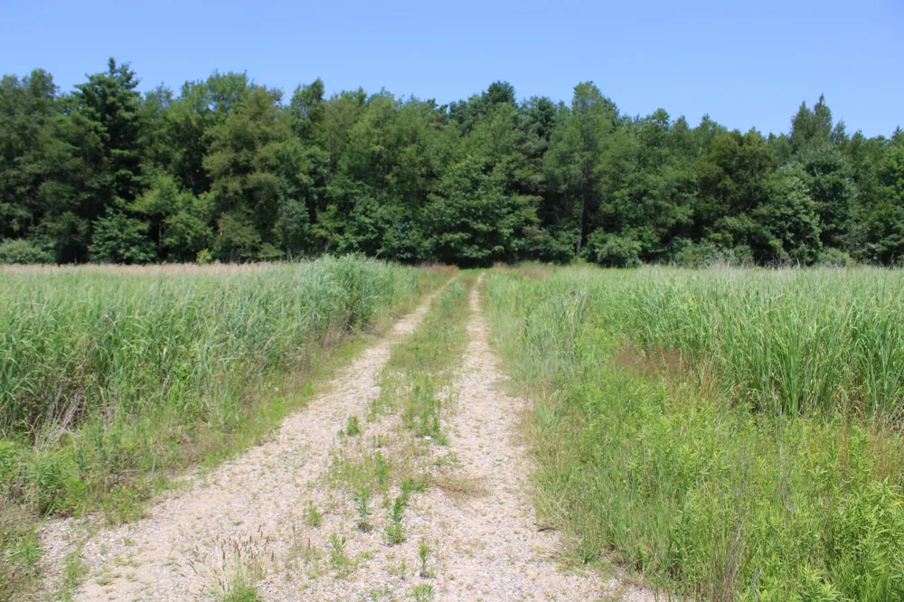 Brown Road Millington, MI 48746