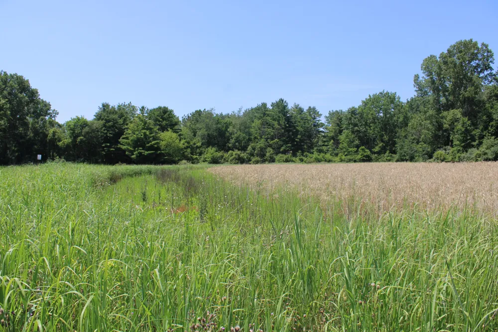 Brown Road Millington, MI 48746