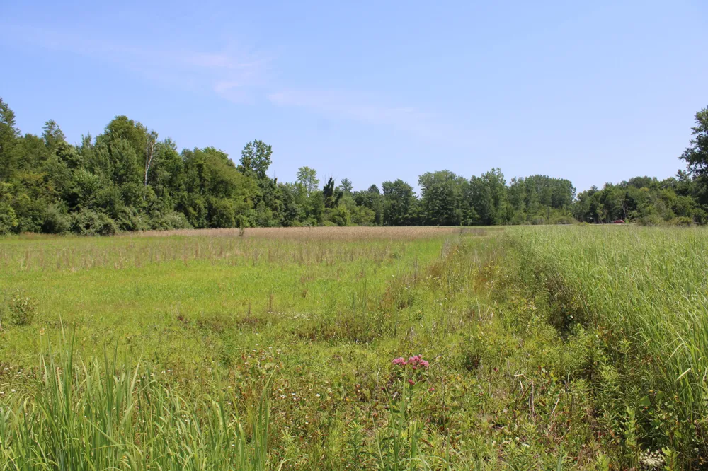 Brown Road Millington, MI 48746