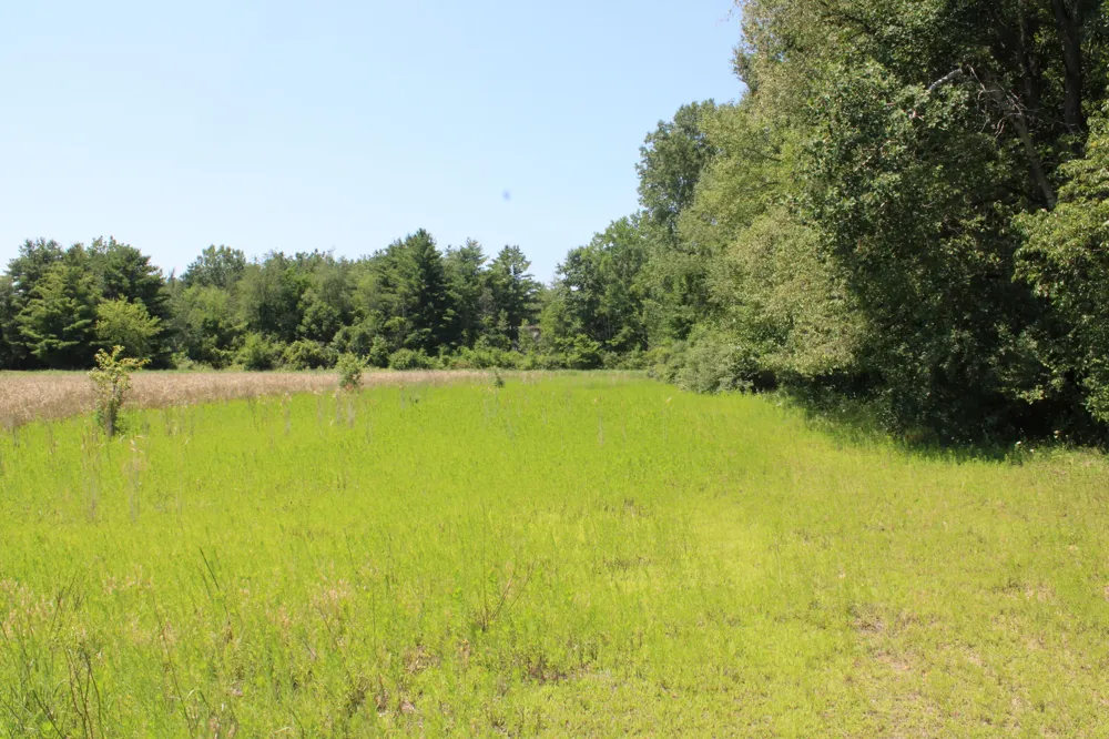 Brown Road Millington, MI 48746
