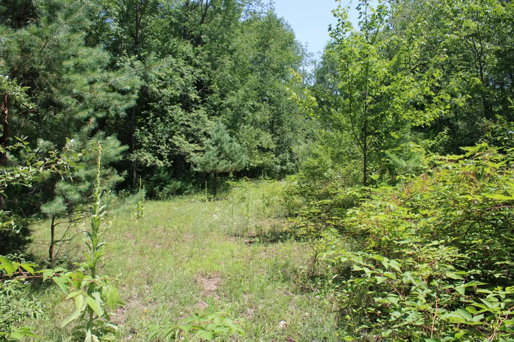 Brown Road Millington, MI 48746