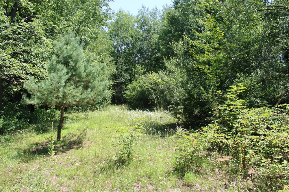 Brown Road Millington, MI 48746