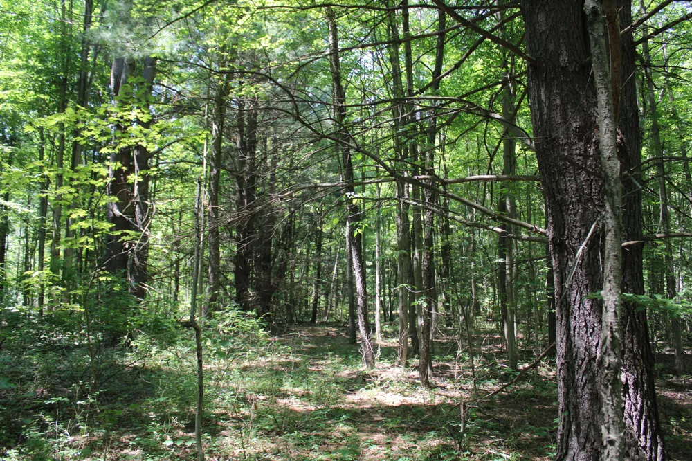 Brown Road Millington, MI 48746