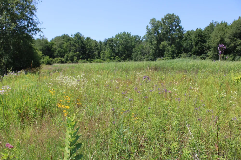 Brown Road Millington, MI 48746