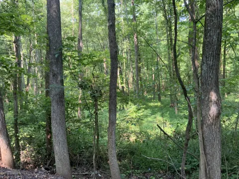 0 Copper Springs Road