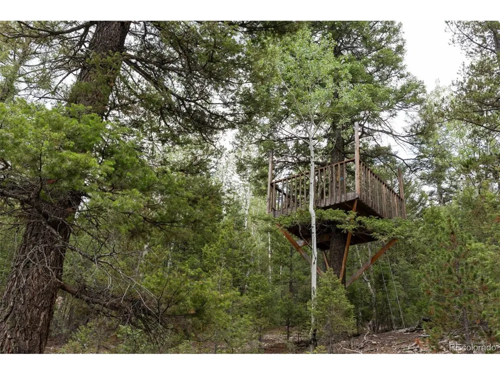 11203 S Barney Gulch Road Conifer, CO 80433