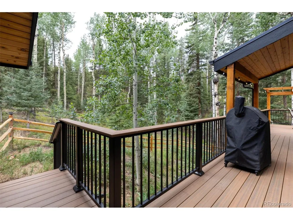 11203 S Barney Gulch Road Conifer, CO 80433