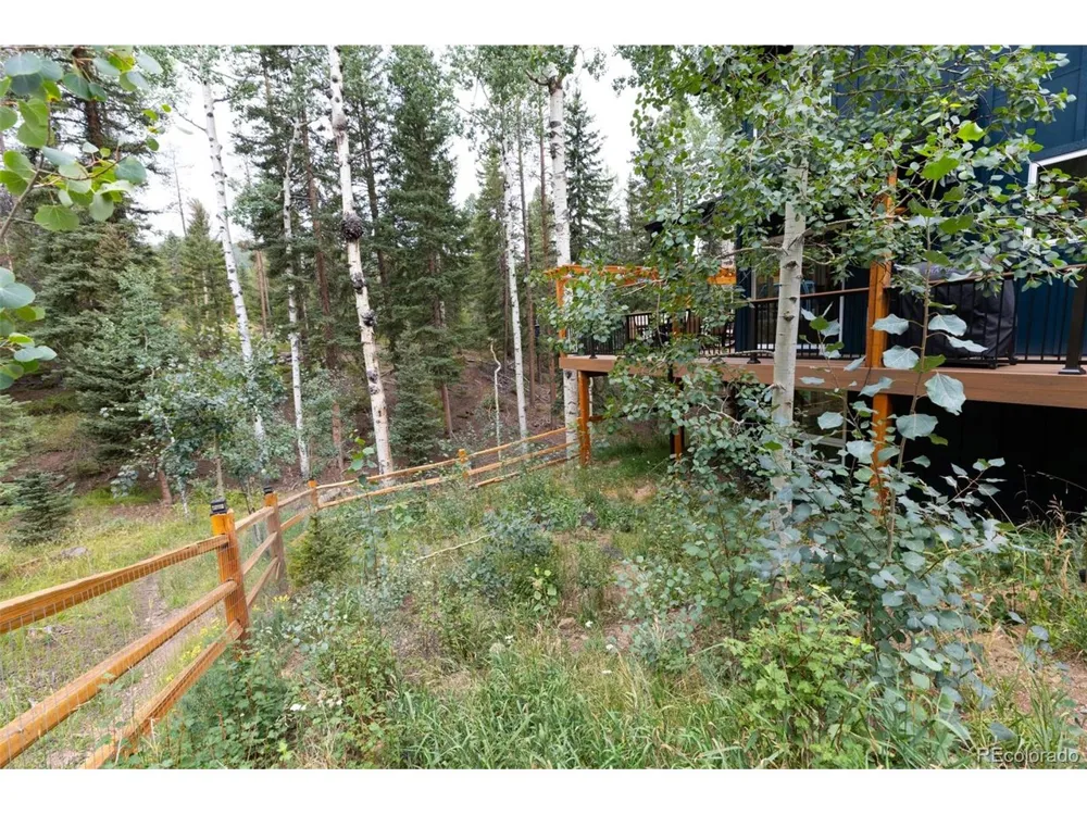 11203 S Barney Gulch Road Conifer, CO 80433