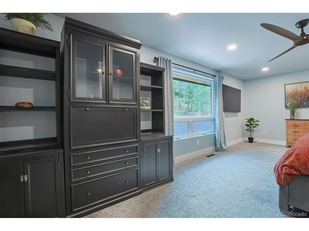 11203 S Barney Gulch Road Conifer, CO 80433