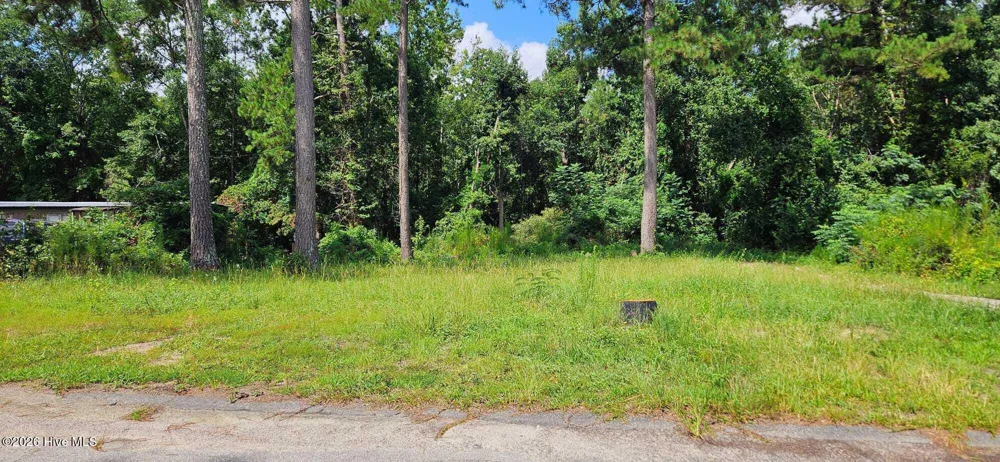 2815 April Drive Augusta, GA 30906