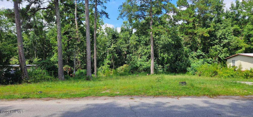 2815 April Drive Augusta, GA 30906