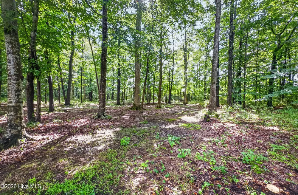 357 Seeview Lane Hertford, NC 27944