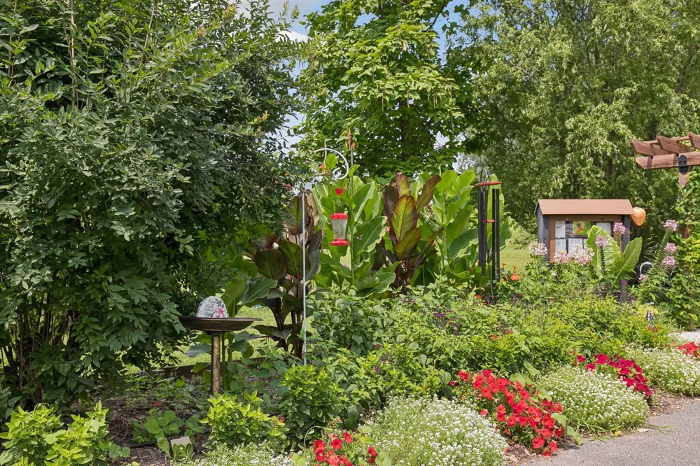 212 6th Street Henderson, MN 56044
