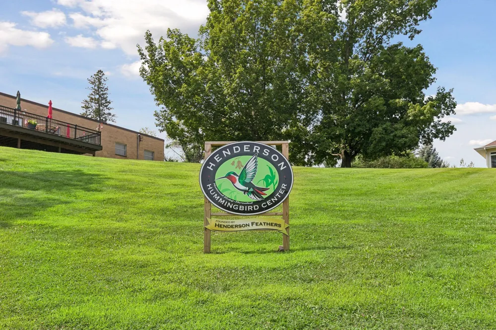 212 6th Street Henderson, MN 56044