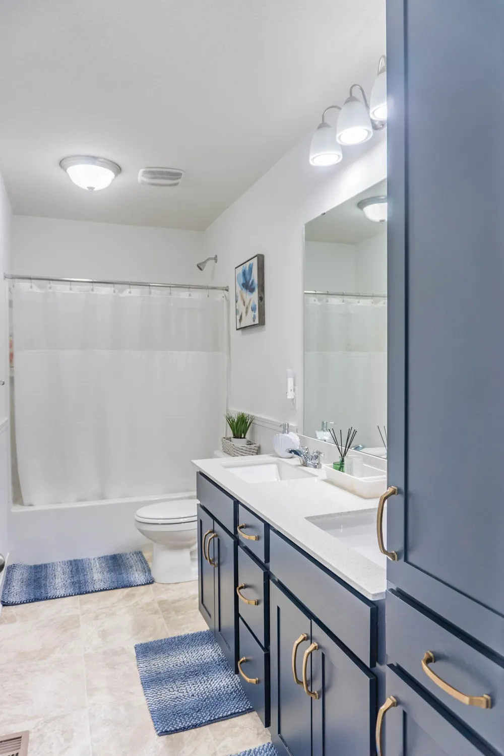 140X Ironwood Court Carver, MN 55315
