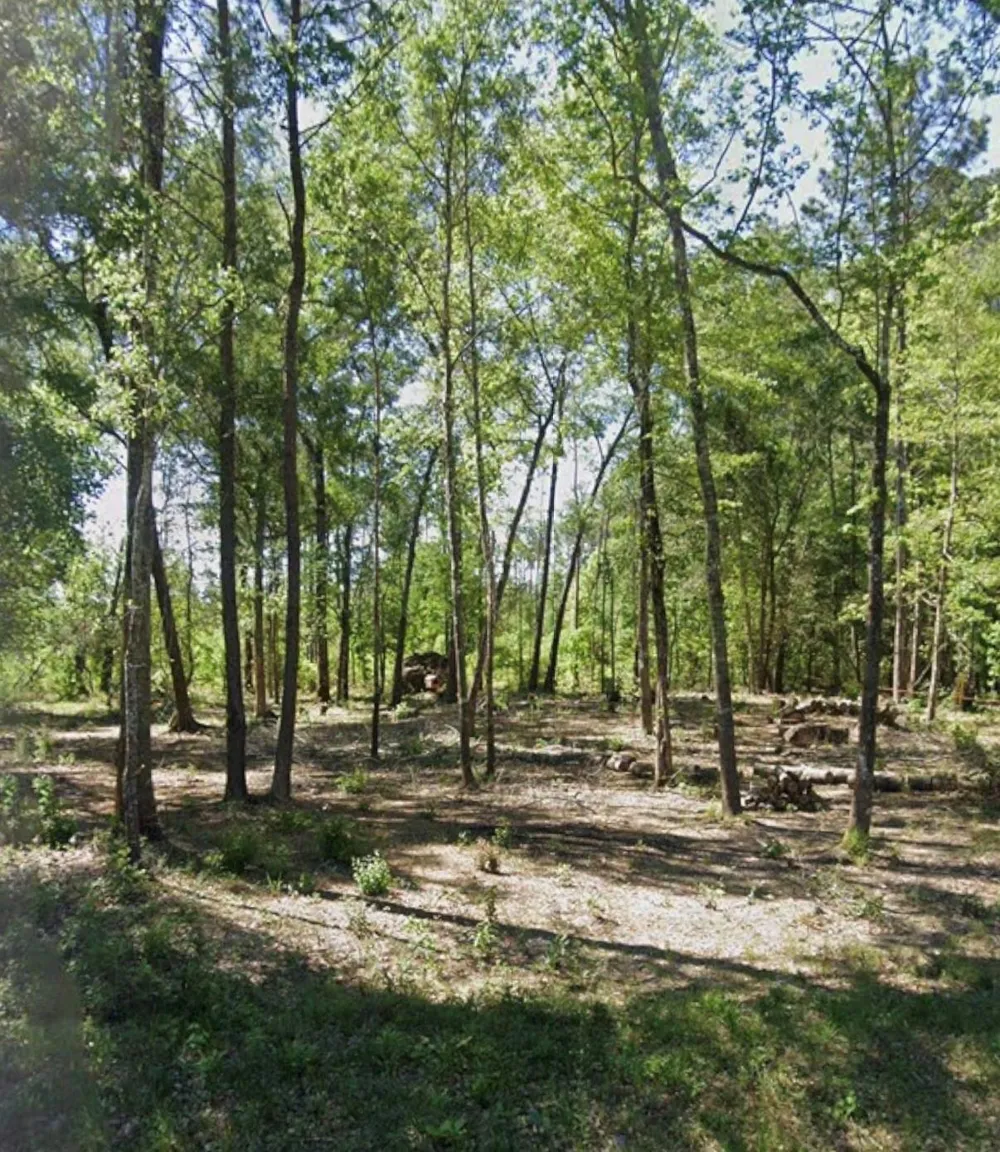 Sherwood Drive Shepherd, TX 77371