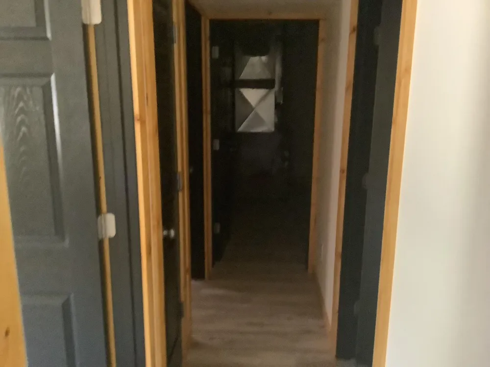14357 Elk Run Brethren, MI 49619