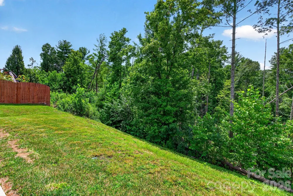 214 Water Leaf Drive Weaverville, NC 28787