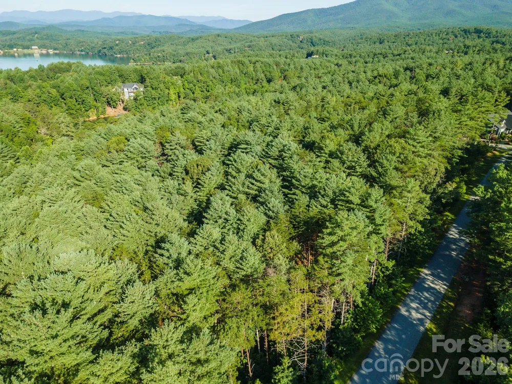 LOT #86 Crest View Drive Nebo, NC 28761