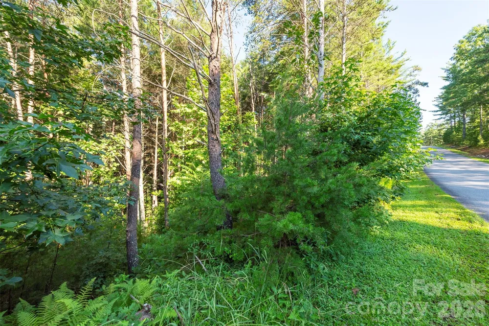 LOT #86 Crest View Drive Nebo, NC 28761