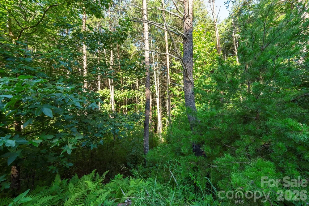 LOT #86 Crest View Drive Nebo, NC 28761
