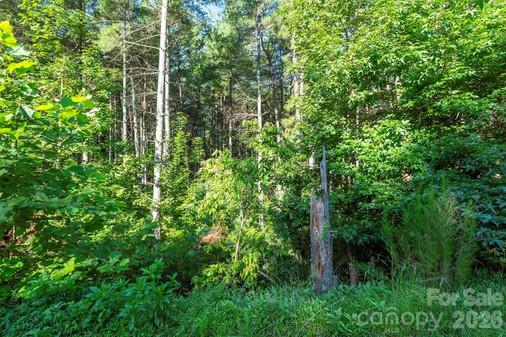 LOT #86 Crest View Drive Nebo, NC 28761