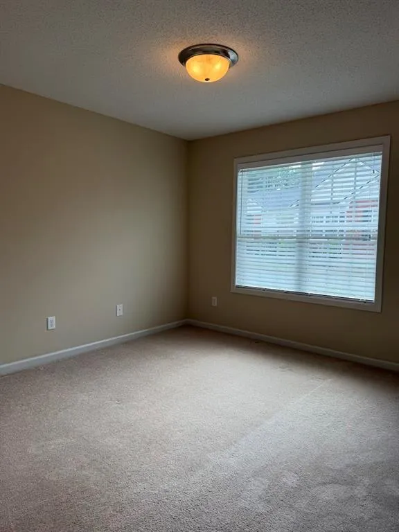 150 Old Mill Road #311 Cartersville, GA 30120