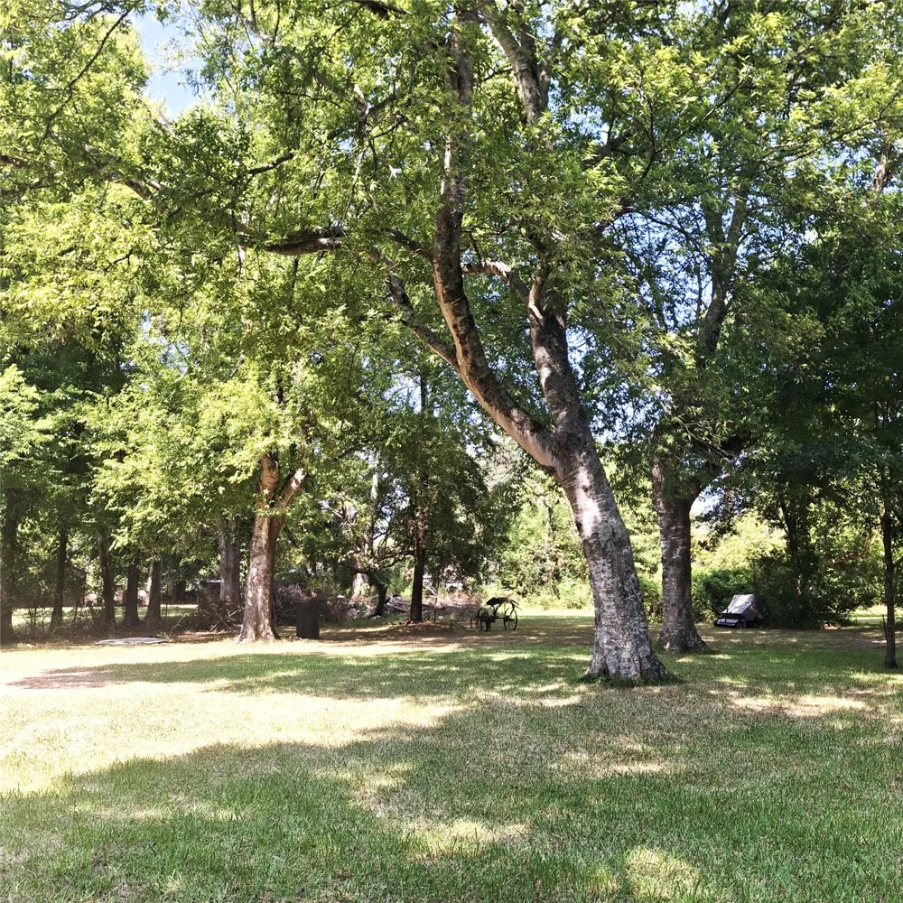 621 Stonewall Preston Road Stonewall, LA 71078