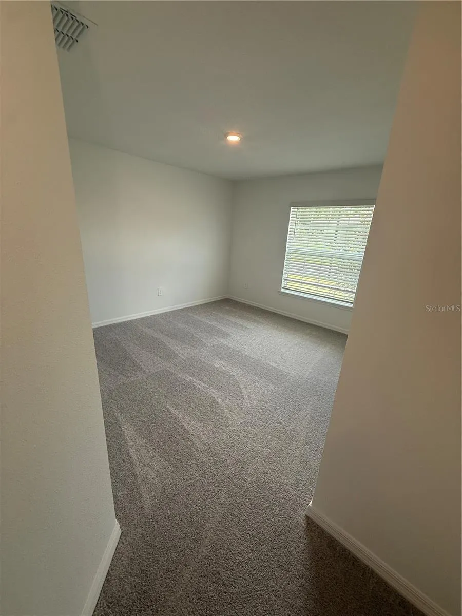 32985 TWIN FLOWER AVE Wesley Chapel, FL 33545