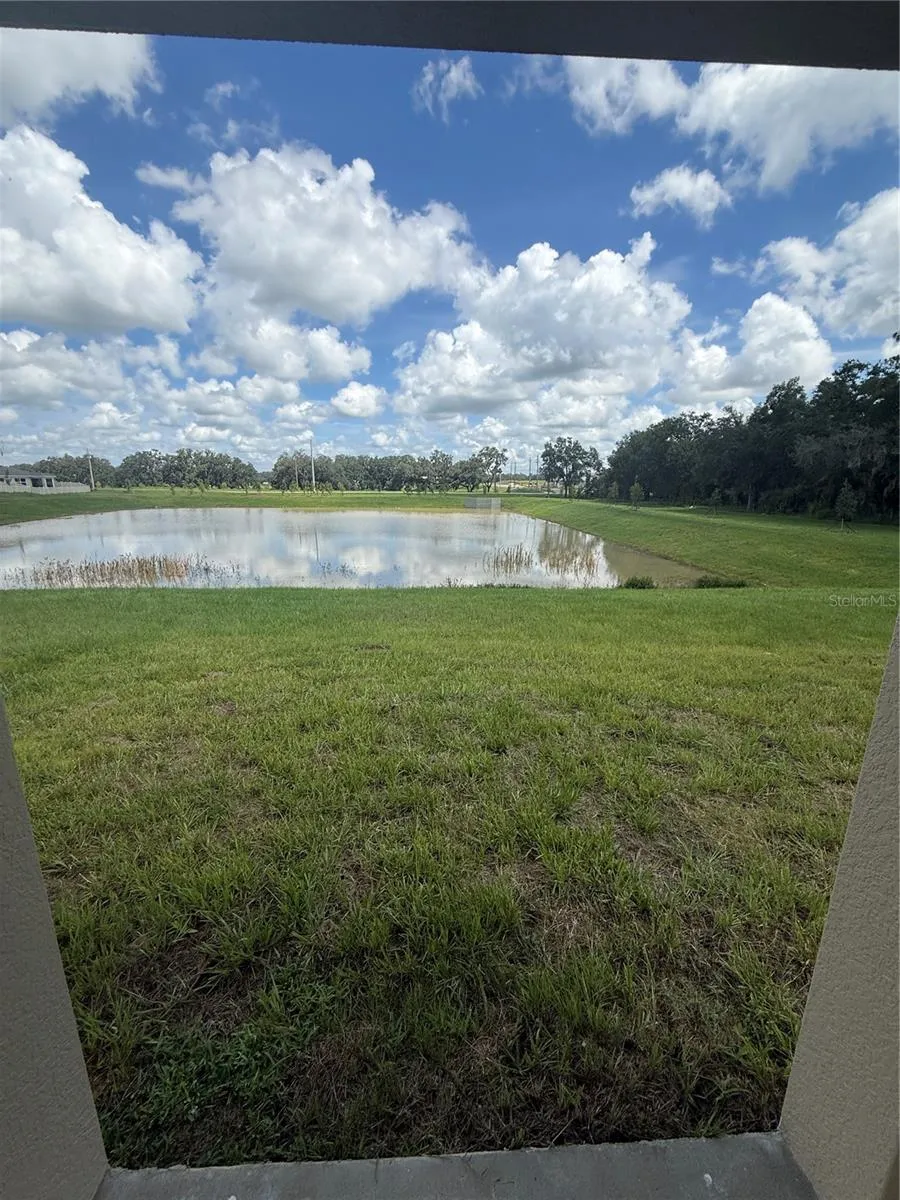 32985 TWIN FLOWER AVE Wesley Chapel, FL 33545