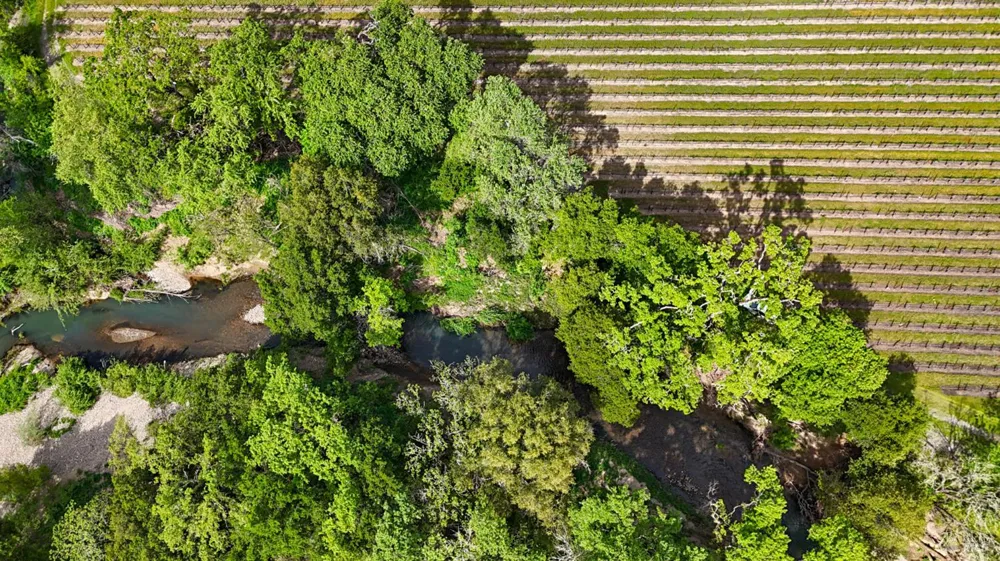 3867 Silverado Trail Calistoga, CA 94515